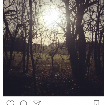 Anonymised screenshot of interviewees IG post showing scenery from a "Post CHristmas (slow) #run'