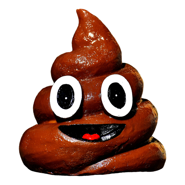 poo emoji by Alexas fotos on pixabay https://pixabay.com/photos/feces-dog-poo-fun-poop-piggy-bank-2567407/