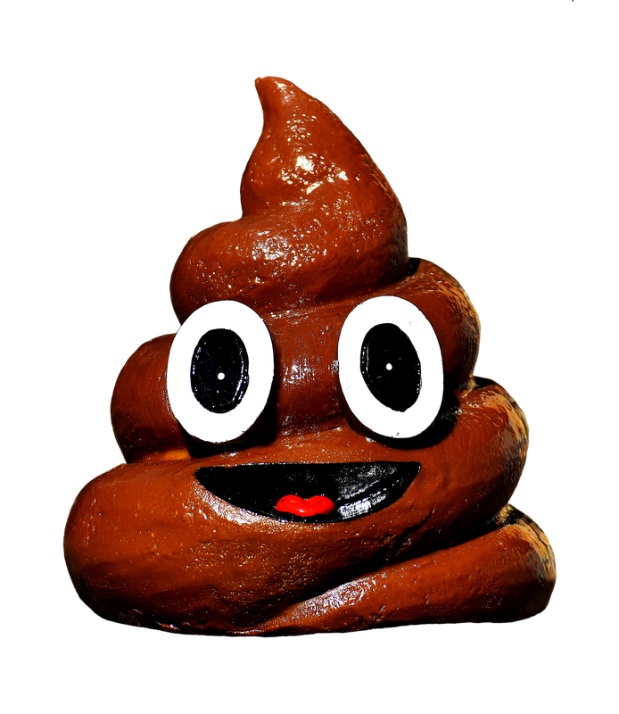 poo emoji by Alexas fotos on pixabay https://pixabay.com/photos/feces-dog-poo-fun-poop-piggy-bank-2567407/